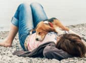 7 Reasons Why Your Dog Always Wants To Lay On Top Of You