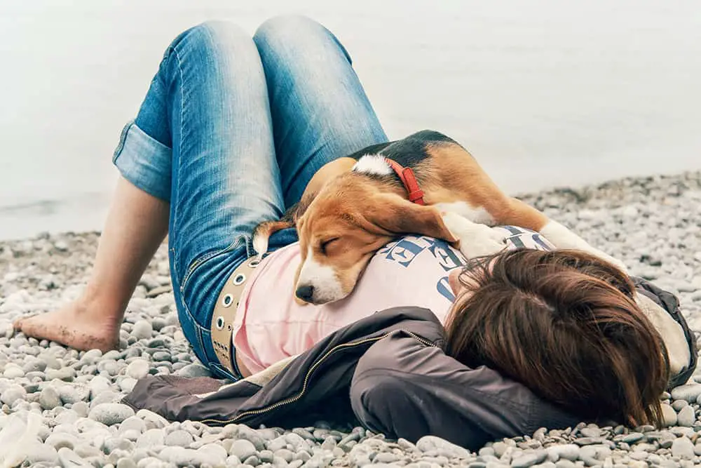 7 Reasons Why Your Dog Always Wants To Lay On Top Of You