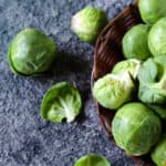 Can Dogs Eat Brussels Sprouts? How Safe & Good Are They Really!