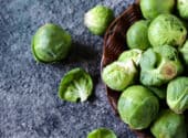 Can Dogs Eat Brussels Sprouts? How Safe & Good Are They Really!