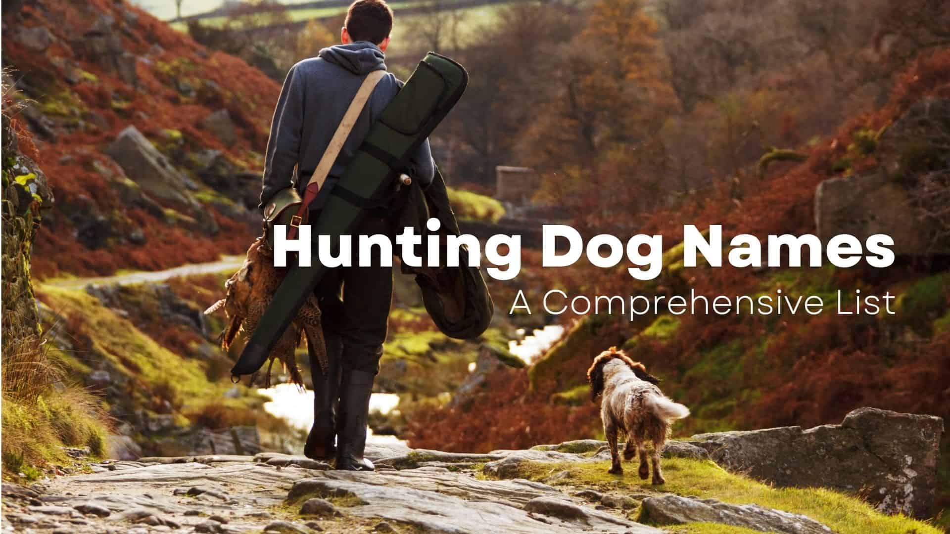 hunting-dog-names-a-comprehensive-list-of-names-for-a-hunting-dog